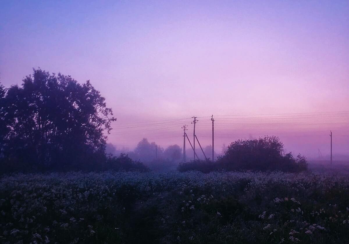 开云体育-大发官方:让信任成为平台的底色